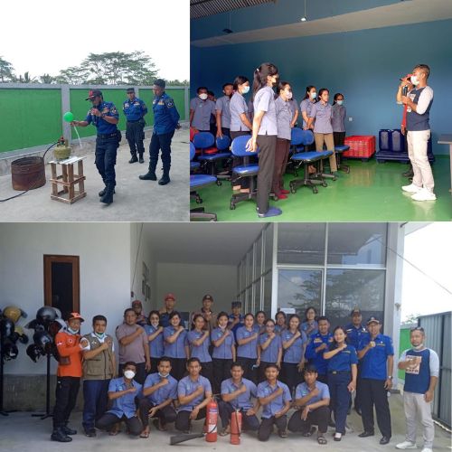 Simulation and Socialization of Natural Disasters